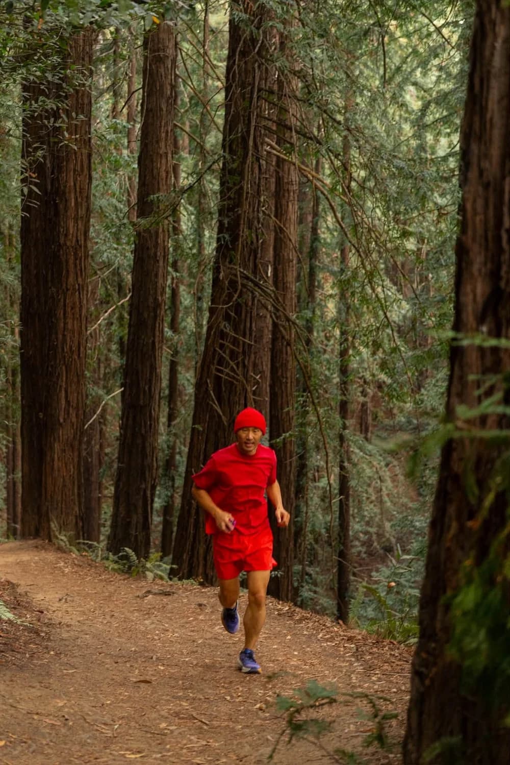 Tim running along a trail among tall redwood trees